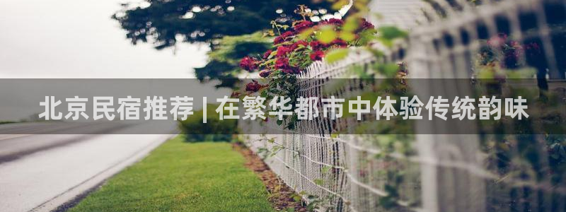 qmh球盟会亚博|北京民宿推荐 | 在繁华都市中体验传统韵味