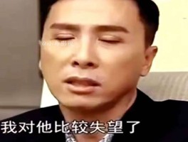 甄子丹赵文卓13年骂战真相！导演设局骗巨星杨幂景甜也站队